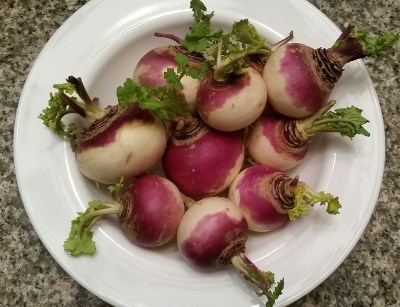 Isn't this a beautiful bowl of turnips?
